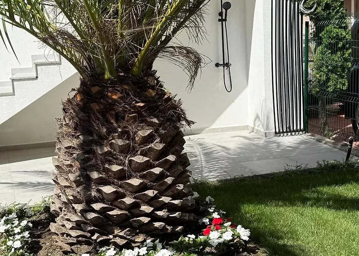 Sea 8 * Słoneczny Brzeg